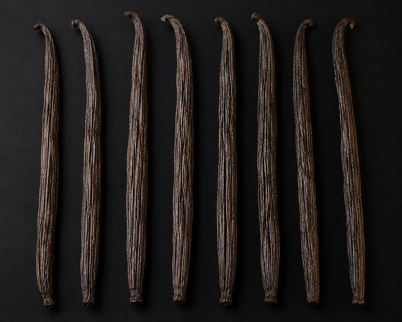 Extraction vanilla beans