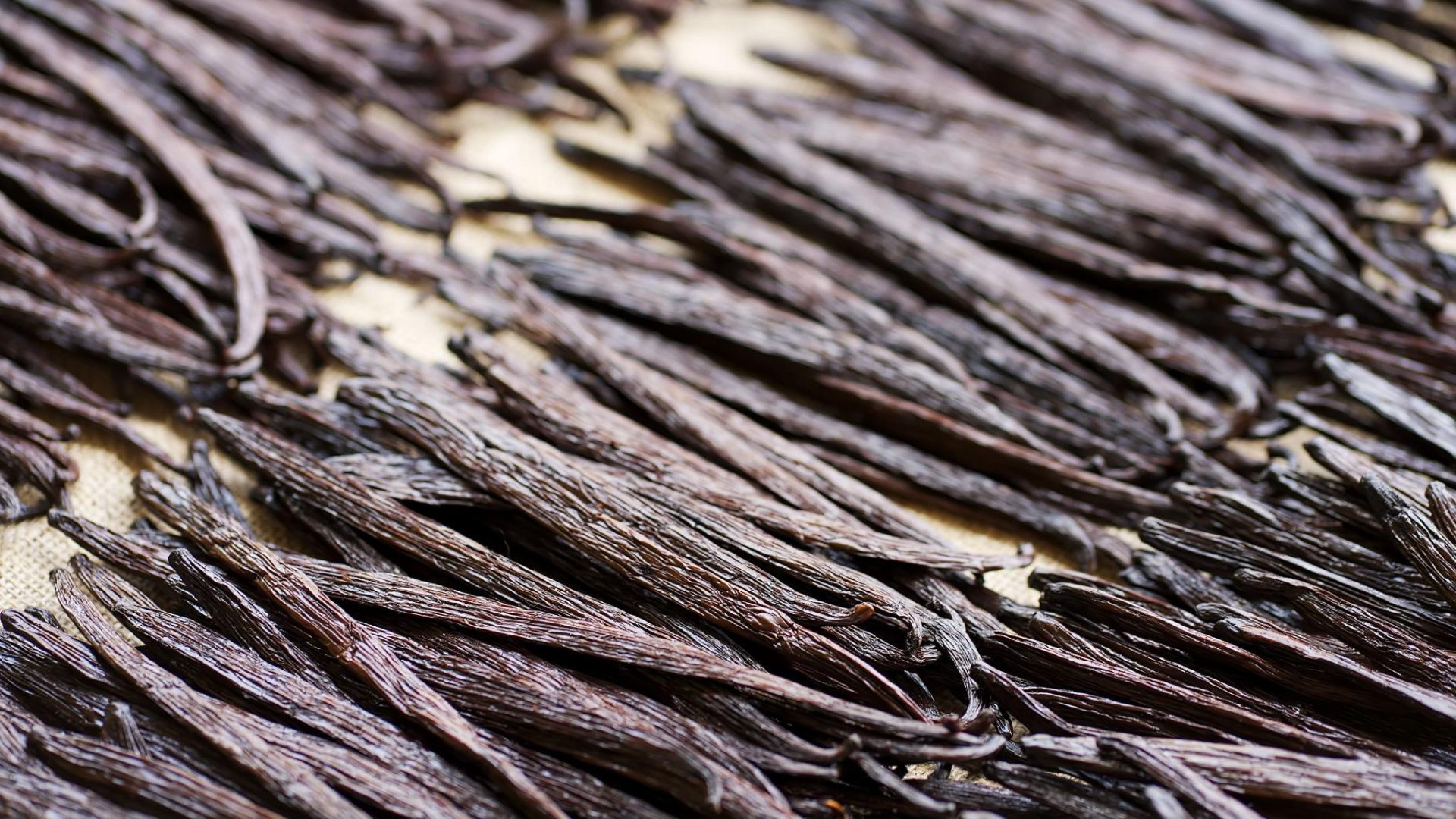 Vanilla farmers in West Java